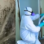 Cleaning Services